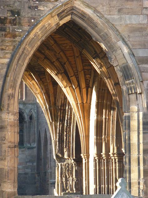 Architectural #Gothic pointed arch detail highlighted in winter sunshine at Elgin cathedral. 13th century. Scotland Pointed Arch, Gothic Arch, Gothic Architectural Elements, Gothic Column Architecture, Types Of Arches Architecture, Rayonnant Gothic Architecture, Elgin Cathedral, Ruins Architecture, Pointed Arches Gothic Architecture