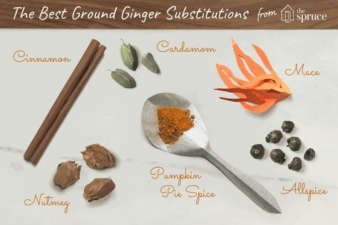 Substitute For Ginger, Spice Substitution Chart, Allspice Substitute, Cumin Substitute, Ginger Substitute, How To Store Ginger, Ginger Root Tea, Pickled Ginger, Clam Recipes