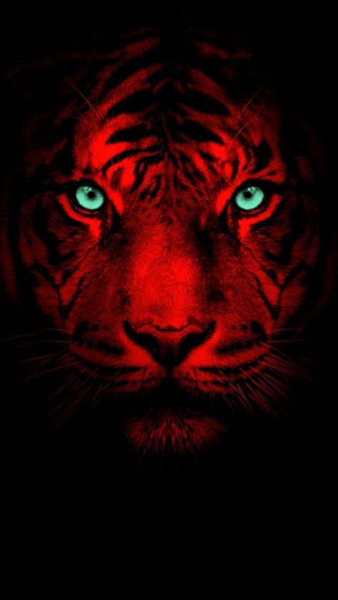 Photo To Stencil, Hiphop Graffiti, Panther Pictures, Swag Wallpaper, Tiger Wallpaper, Eagle Wallpaper, Palomino Horse, Tiger Pictures, Lion Wallpaper