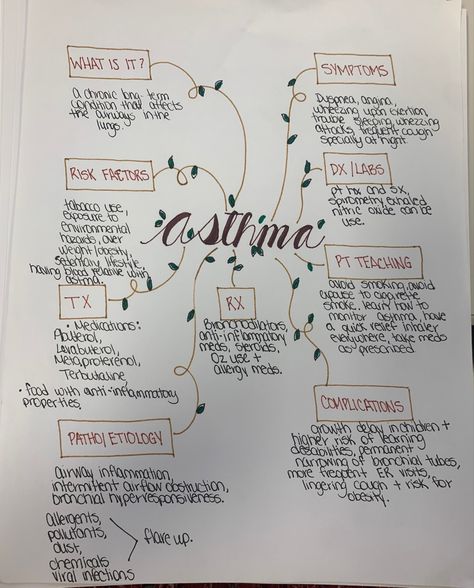 Concept Map Nursing, Med Surg, Concept Map, Respiratory Therapist, Nitric Oxide, Respiratory, Nursing School, Allergies, Nursing