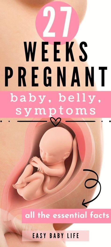 27 weeks pregnant and looking for pregnancy tips? Cool fact: Baby can now hear your voice! Their sense of taste is developing. You're in the last week of the second trimester.   Read about baby development and size, pregnancy symptoms, belly, and to-do lists for your pregnancy weeks at easybabylife.com.  (Pregnancy guide for all trimesters of pregnancy, pregnancy stages, and pregnancy months from early pregnancy to birth. Second trimester facts for first pregnancy and pregnancy advice!) Pregnancy Weeks, 23 Weeks Pregnant, 27 Weeks Pregnant, 29 Weeks Pregnant, 40 Weeks Pregnant, 24 Weeks Pregnant, 26 Weeks Pregnant, 25 Weeks Pregnant, 33 Weeks Pregnant