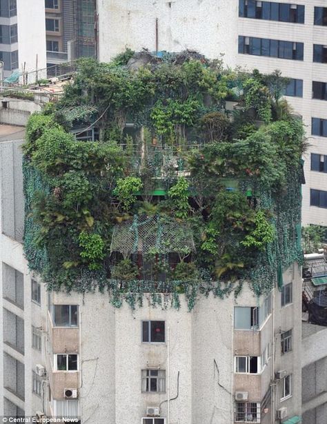 Penthouse Suite, Green City, Rooftop Garden, Concrete Jungle, Roof Garden, An Apartment, Terrace Garden, Green Roof, Brutalism