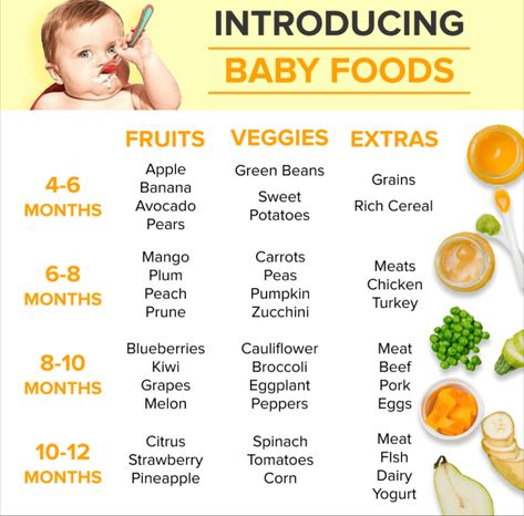 Baby Weight Gain Chart, 7 Month Old Baby Food, Baby Food Timeline, Introducing Baby Food, Baby Food Homemade, Baby Weaning Foods, Baby Development Chart, Toddler Menu, Vienna Food