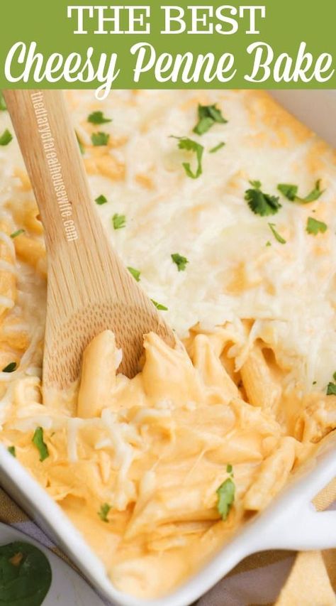 Penne Pasta Side Dish, Penne Pasta Mac And Cheese, Easy Penne Pasta Recipes Few Ingredients, Mini Penne Pasta Recipes, Penne Rigate Recipes, Penne Mac And Cheese, Cheesy Penne Pasta, Penne Pasta Casserole, Spaghetti Casseroles