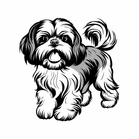 shitzu dog vector Black And White Shih Tzu, Shih Tzu Art, White Shih Tzu, Shitzu Dogs, Sharpie Drawings, Dogs Pictures, Black And White Dog, Dog Vector, Cityscape Photos