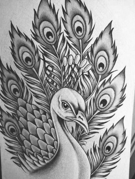 Peacock Sketch, Girly Hand Tattoos, Drawing Flames, Peacock Coloring Pages, Peacock Drawing, Mountain Tattoo Design, Peacock Tattoo, Easy Mandala Drawing, Peacock Wall Art