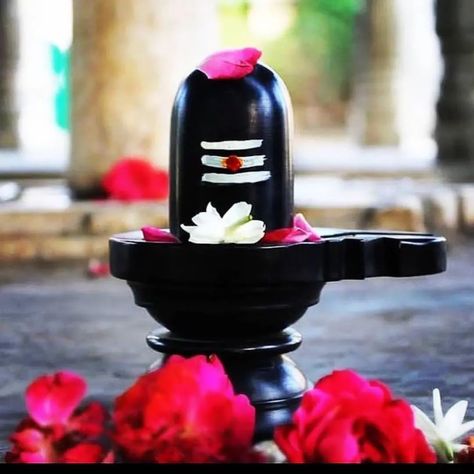 Shiva Lingam Pics, Shiva Linga Wallpaper, Sivan Lord, Siva Lingam, Jagannatha Beautiful Images, Lord Shiv, Mere Mahadev, Hanuman Wallpapers, Shiva Linga