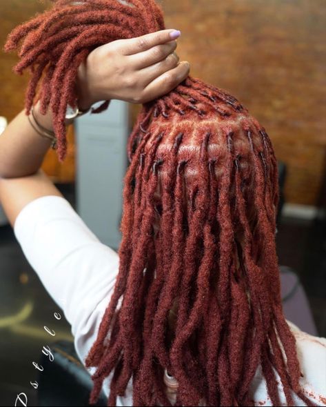 Color On Locs, Dreadlock Hairstyles For Men, Beautiful Dreadlocks, Short Locs Hairstyles, Hair Color Streaks, Dreadlock Style, Dreadlock Styles, Dyed Hair Inspiration, Dreads Styles