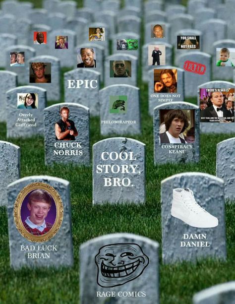 *Cries in meme* Bad Luck Brian, Poster Funny, Rage Comics, Oui Oui, What’s Going On, Funny Pics, Graveyard, Best Memes, Rarity