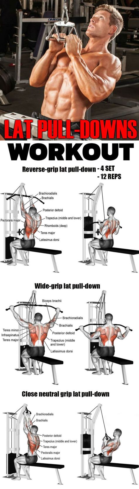 Back Workout Program, Best Back Exercises, Best Bodyweight Exercises, Muscular Back, Good Back Workouts, Biceps Brachii, Lat Pulldown, Latissimus Dorsi, Weight Training Workouts