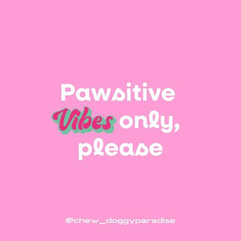 Pawsitive vibes 😊 Pawsitive Vibes Only, Bus Quotes, Phrases Aesthetic, Dog Merch, Dogs Quotes, Cute Dog Quotes, Pawsitive Vibes, Dog Grooming Shop, Dog Grooming Salons