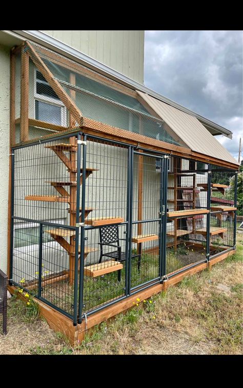 Hotel For Cats, Homemade Catio Ideas, Cat Cages Outdoor, Catio Plans Diy, Cat Room Outdoor, Catio Plans, Outdoor Pet Enclosure, Cat Fence, Cat Patio