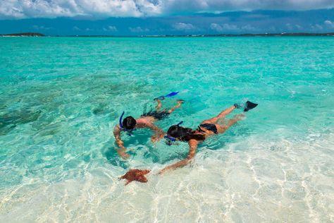 The 10 Best Snorkeling Spots In Nassau, The Bahamas | Sandals Best Sandals Resort, Bahamas Honeymoon, Great Exuma, Honeymoon Vacations, Emerald Bay, Paris Tour, Bahamas Vacation, Caribbean Resort, Best Snorkeling