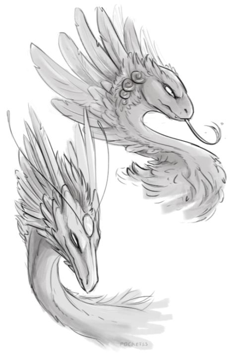 #flightrising #coatl #skydancer #art Flight Rising, Lily Tattoo, Creature Concept, Dragon Art, Dnd Characters, Zbrush, Fantasy Character Design, Fantasy Creatures, Animal Drawings