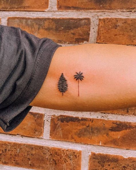 Pine tree and palm tree tattoo on the inner arm. Half Palm Tree Half Pine Tree Tattoo, Palm Tree And Evergreen Tree Tattoo, Palm Tree Ear Tattoo, Palm Tree Pine Tree Tattoo, Mountain And Palm Tree Tattoo, Southern Tattoos For Women, Tree Tattoo Finger, 55 Tattoo, Southern Tattoos