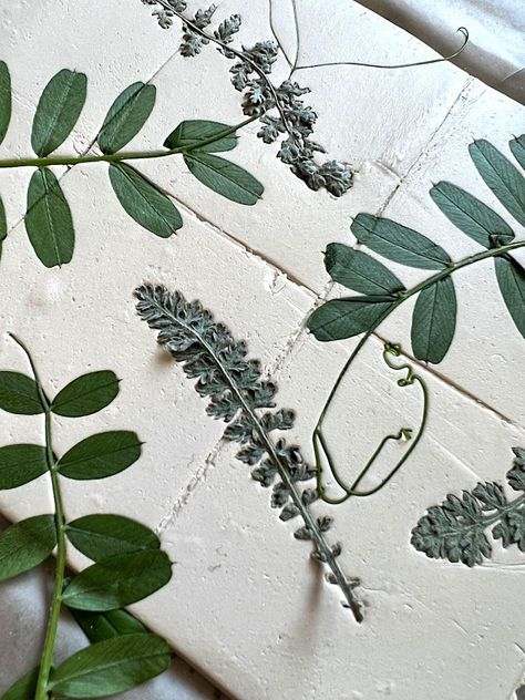 Botanical Ceramics, Clay Imprints, How To Make Ceramic, Flower Pressing, San Francisco Art, Event Solutions, Clay Tiles, Event Organiser, Eco Printing