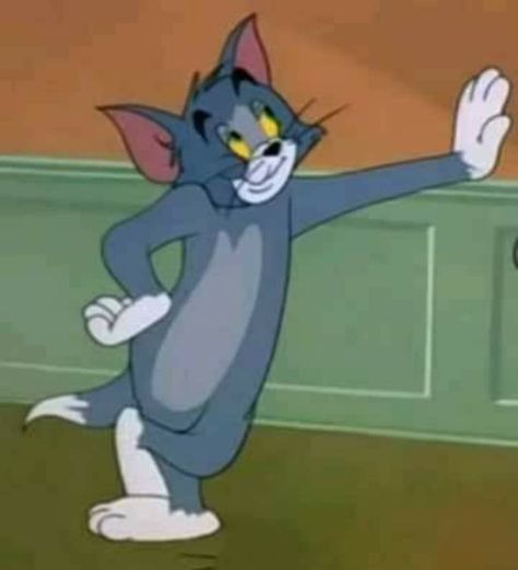 Tom And Jerry Reaction, Tom Angry, Tom Images, Tom And Jerry Memes, Tom And Jerry Pictures, Cutest Cats Ever, Tom Et Jerry, Tom And Jerry Cartoon, Leo Tattoos