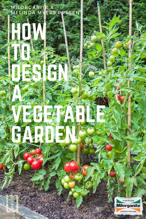 Interplanting Vegetables, Veggie Garden Design, Vegetable Planter Boxes, Veggie Garden Layout, Vegetable Garden Boxes, Vegetable Garden Layout Design, Vegetable Garden Layout, Large Garden Planters, Garden Planning Layout