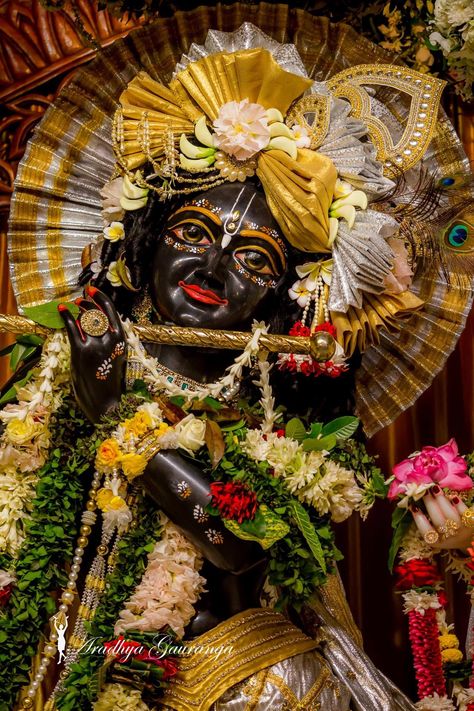 Mayapur Iskcon Temple Radha Krishna, Iscon Temple Radha Krishna Hd, Iscon Temple Radha Krishna, Vrindavan Photography Pictures, Iskcon Temple, राधा कृष्ण, Iskcon Krishna, Krishna Temple, Krishna Hd