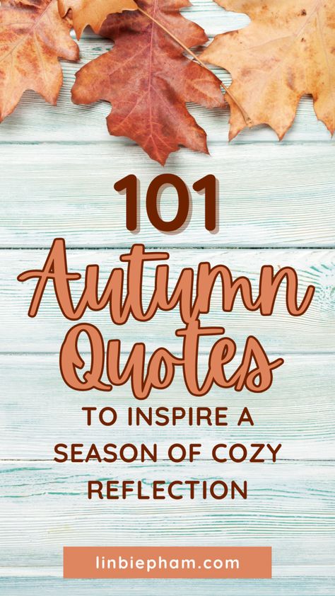 Struggling to find the right words to express your love for autumn? Get cozy with our collection of 101 autumn quotes, from funny autumn quotes to inspirational autumn quotes that will warm your heart. Save this pin for later and get ready to be inspired by the most captivating quotes of autumn! Fall Wellness Quotes, Funny Autumn Quotes, Quotes About Autumn, Autumn Quotes Inspirational, Canada Quotes, Captivating Quotes, Road Quotes, Funny Autumn, Autumn Quote