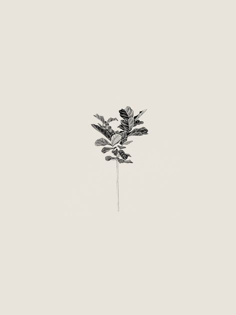 Portfolio - Photography & Illustration Scales Illustration, Oak Leaf Tattoos, Wreath Tattoo, Botanical Line Drawing, Body Decor, Freelance Photography, Ink Inspiration, Product Catalogue, Botanical Tattoo