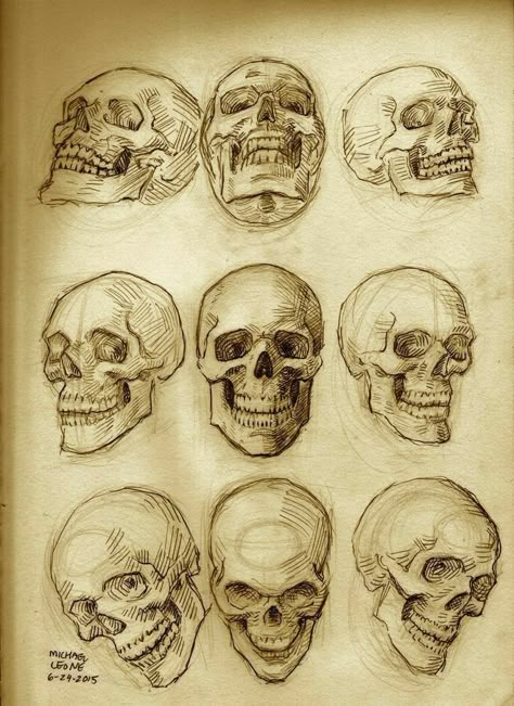 Skull Anatomy, Skull Reference, Skull Sketch, Character Tattoos, Skeleton Drawings, Skull Art Drawing, Cartoon Character Tattoos, Skulls Drawing, Human Anatomy Drawing