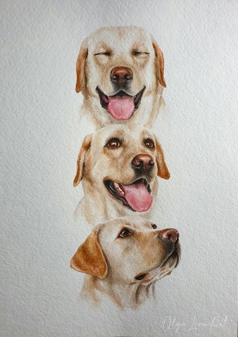 Labrador Watercolor Painting, Labrador Painting Easy, Nose Portrait, Labrador Painting, Watercolor Realism, Dogs Watercolor, Painting Clipart, Realism Illustration, Dog Watercolor Painting