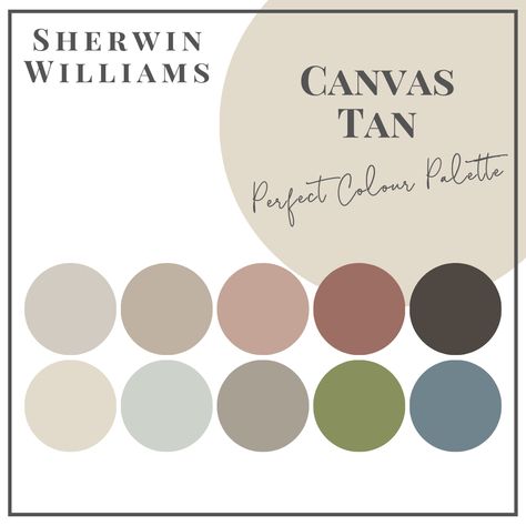 Canvas Tan - Perfect Colour Palettes - Claire Jefford Canvas Tan Color Palette, Canvas Tan Color Scheme, Canvas Tan Sherwin Williams, Tan Accent Wall, Benjamin Moore Paint Colours, Tan Color Palette, Sherwin Williams Color Palette, Sherwin Williams Paint, Accent Wall Colors