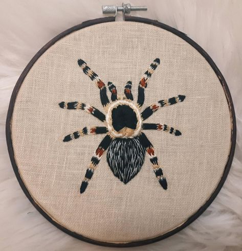 Mexican Red Knee Tarantula ? - Imgur Embroidery Insects Pattern, Tarantula Embroidery, Mexican Red Knee Tarantula, Embroidery Bugs, Weighted Hoodie, Grunge Embroidery, Beetle Embroidery, Embroidery Spider, Red Knee Tarantula