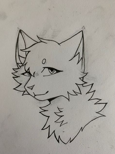 Warrior Cats Art Base, How To Draw Warrior Cats, Warrior Cats Designs, Warrior Drawing, Warrior Cat Drawings, Cat Sketch, Oc Drawings, Warrior Cats Art, Cute Doodle Art