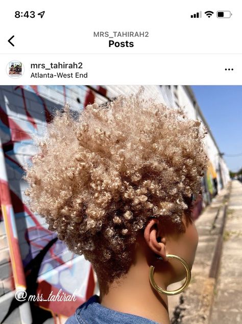 Twa With Undercut Natural Hair, Long Tapered Natural Hair, Blonde Tapered Haircut Black Women, Ash Blonde Afro, Ash Brown Natural Hair, Short Blonde Natural Hair Black Women, Honey Blonde Twa Natural Hair, Blonde Afro Hair Black Women, Blonde Afro Hair