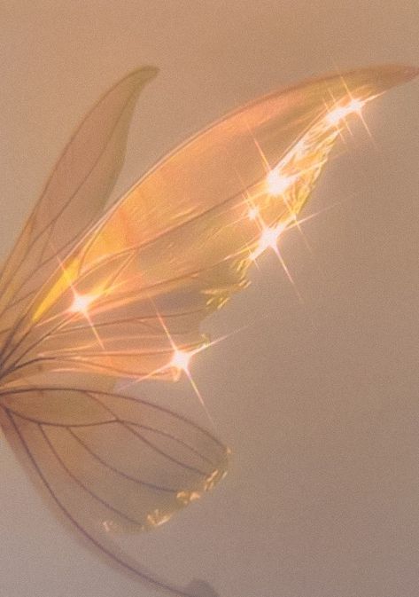 Fairy Wallpaper, Fotografi Digital, Fairy Aesthetic, Angel Aesthetic, Gold Aesthetic, Yellow Aesthetic, Fairy Wings, Beige Aesthetic, Brown Aesthetic