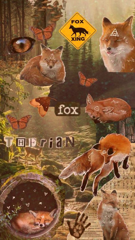 not a therian but support them! #foxtherian #therian #therianthropy #therianwallpaper #fox #wallpaper Cute Therian Wallpaper, Fox Therian Aesthetic, Therian Moodboard, Fennec Fox Therian, Fox Therian Wallpaper, Therian Background, Cute Fox Wallpaper, Foxes Wallpaper, Fox Wallpapers