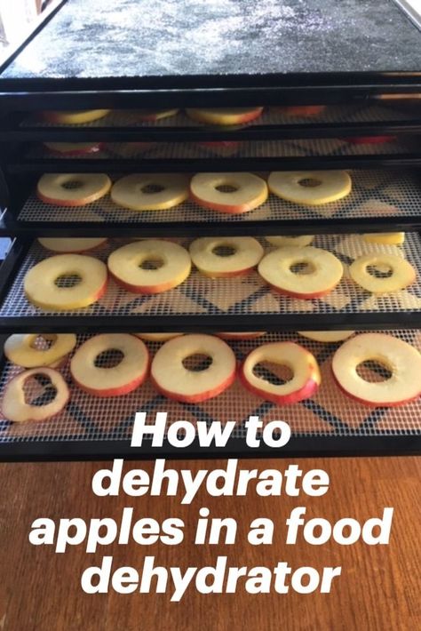 In this article I explain the easy steps to make your own tasty apple chips by dehydrating apples in an Excalibur Food dehydrator.   It is a great way to make your own snacks, and help you reduce food waste.  You can use the Excalibur food dehydrator to dehydrate other fruits, vegetables, herbs, spices, nuts and even meat, yogurt and cottage cheese!  If you're interested in learning to dehydrate food, check out this easy to follow how-to article. Thank you #dehydratedfood  #dehydrateapples Drying Apples Dehydrator, Dehydrating Apples In Dehydrator, Excalibur Dehydrator Recipes, Make Your Own Snacks, Dehydrate Apples, Dehydrating Apples, Apple Chips Dehydrator, Canning Pressure Cooker, Excalibur Dehydrator