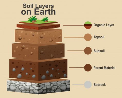 Soil Diagram, Soil Worksheet, Layers Of Soil, Earth Science Lessons, Earth Layers, Soil Texture, Rock Cycle, Earth Images, 6th Grade Science