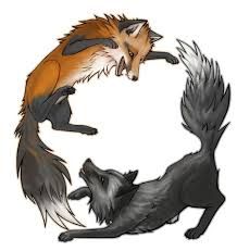 Fox And Wolf Drawing at PaintingValley.com | Explore collection of Fox And Wolf Drawing Fox And Wolf, Fox Animation, Fox Artwork, Fox Drawing, Kitsune Fox, Fox Tattoo, Wolf Drawing, Pet Fox, Anime Wolf