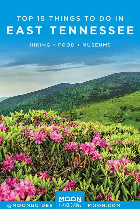 Home to a plethora of natural wonders including America’s most popular national park, East Tennessee is a nature-lover’s dream—but that’s not all that the area has to offer. Here are our top recommendations for things to do in East Tennessee, including hikes, museums and places to eat. #tennessee #usa Day Trips In East Tennessee, Historical Mansions, Windrock Park Tennessee, Tennessee Living, East Tennessee Things To Do, Visit Tennessee, Eastern Tennessee Things To Do, 2024 Manifestations, Tennessee Adventures