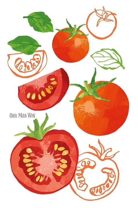 Food Digital Painting, Fruit Illustration Watercolour, Tomato Soup Illustration, Fruit Digital Painting, Fruit And Veggie Illustration, Tomato Illustration Cute, Vintage Vegetable Illustration, Cherry Tomato Illustration, Tomato Illustration Graphics