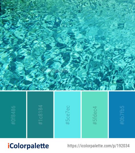 Color palette theme related to aqua, azure, blue, coral reef, Image, marine biology, organism, reef, turquoise, underwater, water, . Download color palette as Pdf, Adobe swatch and more. Aqua Marine Color Palette, Aqua Accessories, Aqua Color Schemes, Aqua Color Palette, Ocean Color Palette, Coral Reef Color, Australian Colours, Blue Contrast Color, Colour Pallettes