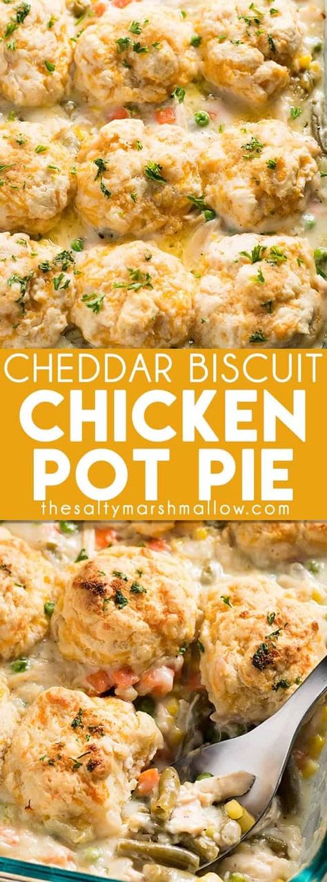 Cheddar Biscuit Chicken Pot Pie Casserole is a quick and easy weeknight dinner recipe! A delicious and simple to make homemade chicken pot pie filling topped with cheddar bay style biscuits! Easy Biscuit Pot Pie, Cheddar Bay Biscuit Chicken Pot Pie Soup, Chicken And Potato Pot Pie, Cheddar Bay Biscuit Meals, Cheddar Biscuit Pot Pie, Biscuits For Dinner Meals, Chicken Soup With Biscuits, Pot Pie Biscuit Recipe, Best Entree Recipes