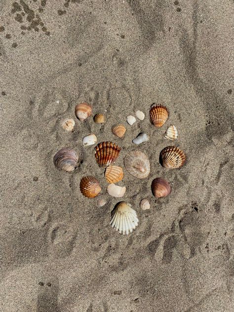 shell, beach aesthetic beach day, travel aesthetic, travel activities, travel inspo, summer, vacation aesthetic Beach Getaway Aesthetic, Beach Ig Aesthetic, Aesthetic Beach Activities, Simple Beach Aesthetic, Beach Travel Aesthetic, Summer Beach Day Aesthetic, Beach Activities Aesthetic, Beach Ig Feed, Beach Aesthetic Icons