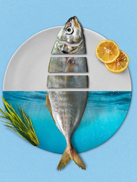 Fish Poster Design, Food Social Media Design, Fish Posters, Restaurant Fish, Photoshop Shortcut, Seafood Shop, Food Mockup, Fish Eyes, Fish Poster