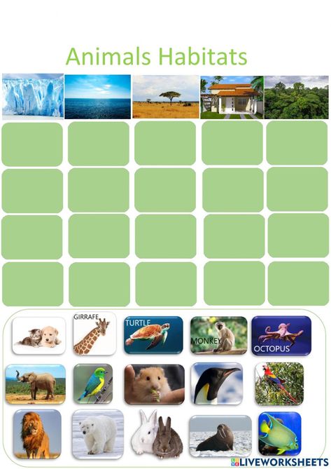 Board Preschool Ideas, Animal Habitats Preschool, Animals Habitat, Sunday School Printables, Animal Habitat, Busy Activities, Preschool Activities Toddler, Personal Social, Science Activities For Kids