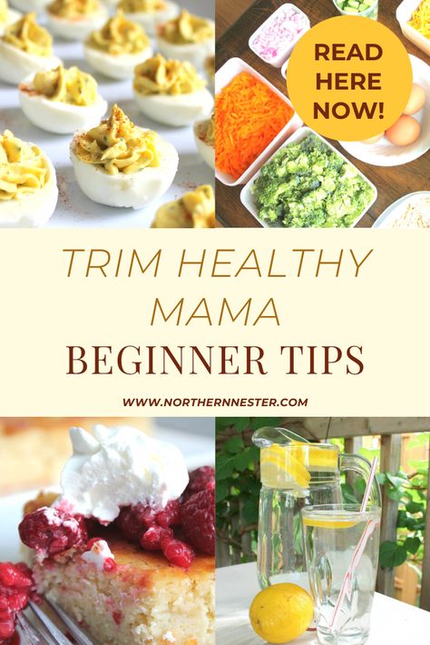 Trim Healthy Momma Beginner, S Meals Trim Healthy Mama, Thm Crockpot, Drive Thru Sue Thm Meal Ideas, Trim Healthy Mama S Meals, Thm Meal Plan For Beginners, Trim Healthy Mama Recipes Beginner, Trim Healthy Mama Freezer Meals, Trim Healthy Mama Beginner