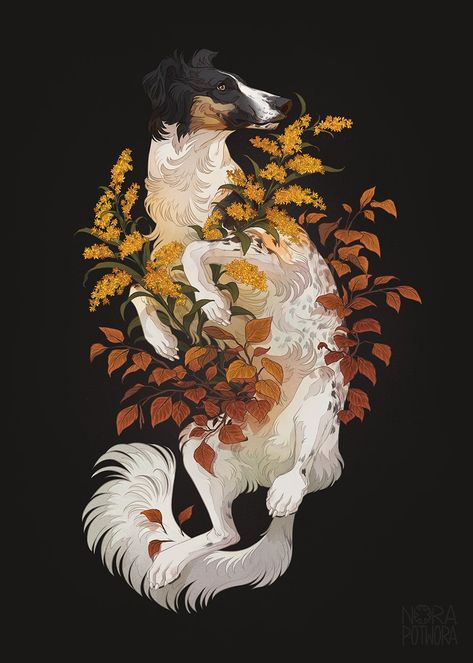 Nora Potwora, Long Haired Whippet, Cardigan Corgi, Whippet Dog, Cardigan Welsh Corgi, Canine Art, Dog Illustration, 2d Art, Saint Bernard