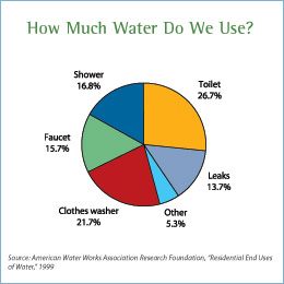 Daily Mom » 5 Ways to save on your water bill {by spending less than $20} Ways To Save Water, Science Room, Water Per Day, Basement Inspiration, Natural Resource, Water Bill, Natural Curiosities, Gallon Of Water, Water Usage