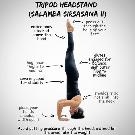 Hey everyone! 🌟 I’m back after a much-needed week-long social media detox, and I’m excited to share Day 8 of our ‘How to Yoga’ series. Today, we’re diving into the **Tripod Headstand** (Sirsasana II). Remember, practice patience and listen to your body. It’s all about progress, not perfection! 🙏✨ Tag me in your Tripod Headstand attempts and let’s continue this yoga journey together! 🧘‍♀️🧘‍♂️ . . #headstand #headstandpractice #tripodheadstand #yogateacher Yoga Knowledge, Tripod Headstand, Practice Patience, Yoga Series, Yoga Journey, Head Stand, Yoga Therapy, Progress Not Perfection, Yoga Teacher