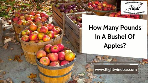 How Many Pounds In A Bushel Of Apples? Most Correct Answer Bushel Of Apples, Preserving Apples, How To Store Apples, Red Delicious Apples, How To Make Pie, Apple Varieties, Reduce Cholesterol, Granny Smith Apples, Granny Smith