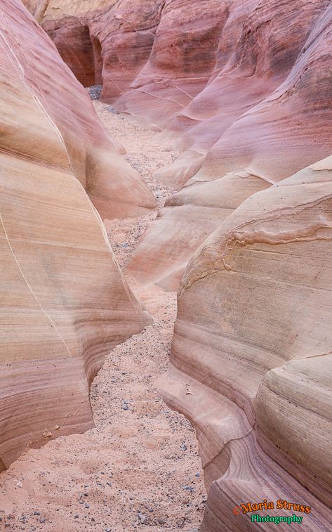 Pink Canyon, Limestone Rock, Valley Of Fire State Park, Nevada Travel, Yellow Pastel, Valley Of Fire, Rock Formations, Desert Rose, Antelope Canyon