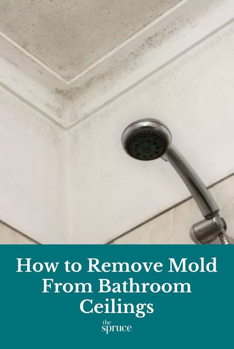 Bathroom Mold Cleaner, Cleaning Bathroom Mold, Mold On Bathroom Ceiling, Bathroom Ceilings, Clean Black Mold, Bathroom Mold Remover, How To Remove Mold, Tiled Bathroom, Remove Mold